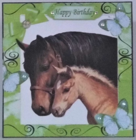 Moment with mum and baby foal with butterflies 8x8 (green) by Hazel Underwood