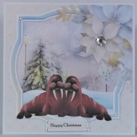 Cute  Sea Lion  Christmas Mini Kit by Hazel Underwood