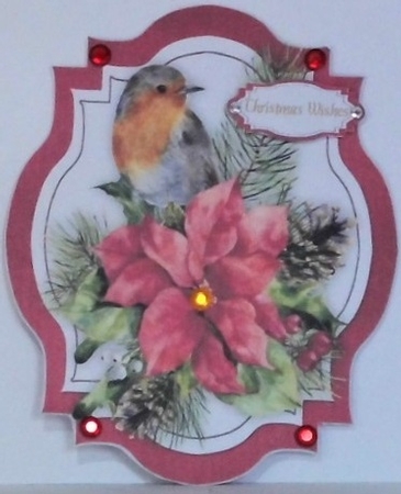 Beautiful Robin With Cones  by Hazel Underwood