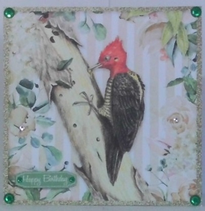 The Happy Woodpecker Card Topper by Hazel Underwood