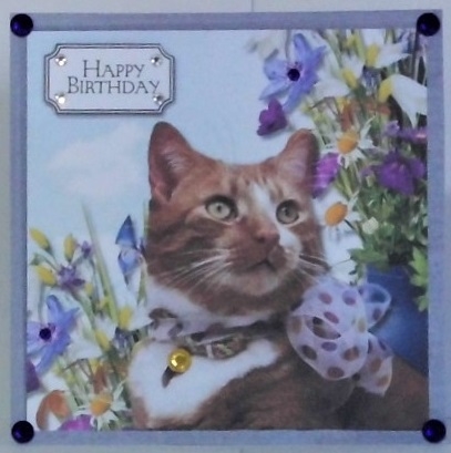 Cat and flowers for birthday or get well by Hazel Underwood
