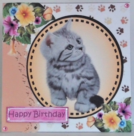 Cats & Kittens furry friends with flowers 12 lovely  7x7 card fronts bumper set by Hazel Underwood