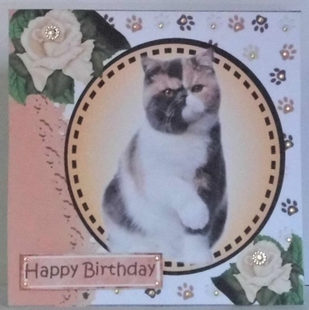Cats & Kittens furry friends with flowers 12 lovely  7x7 card fronts bumper set by Hazel Underwood