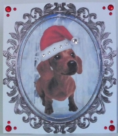Santa Dog  Toppers by Hazel Underwood