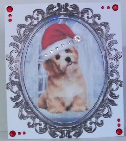Santa Dog  Toppers by Hazel Underwood
