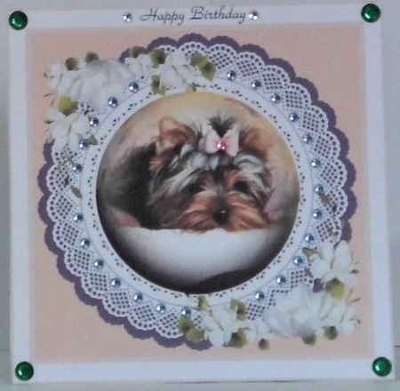 Its a Dogs Life  Featured Gallery Photo
