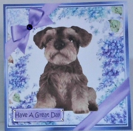 Gorgeous little Schnauzer puppy with purple bows and flowers 8x8 by Hazel Underwood