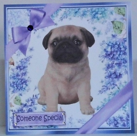 Gorgeous little pug puppy with purple bows and flowers 8x8 by Hazel Underwood