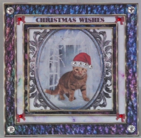 Christmas cat 1 by Hazel Underwood