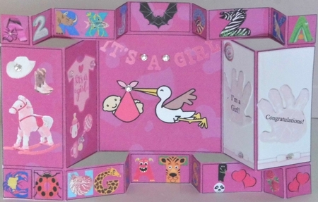 Its a Girl Double Tri-Shutter by Hazel Underwood