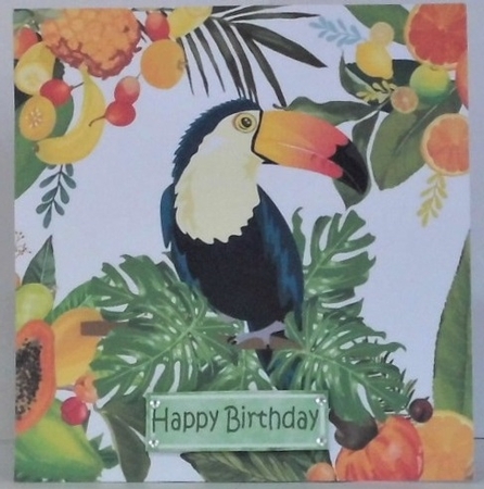 Lovely Tropical Fruit Frame with toucan 8x8 by Hazel Underwood