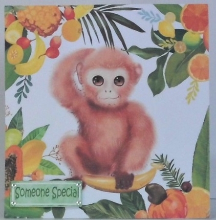 Lovely Tropical Fruit Frame with a monkey 8x8 by Hazel Underwood
