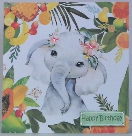  4 Lovely Tropical Fruit Frame with Animals 8x8 Card fronts by Hazel Underwood