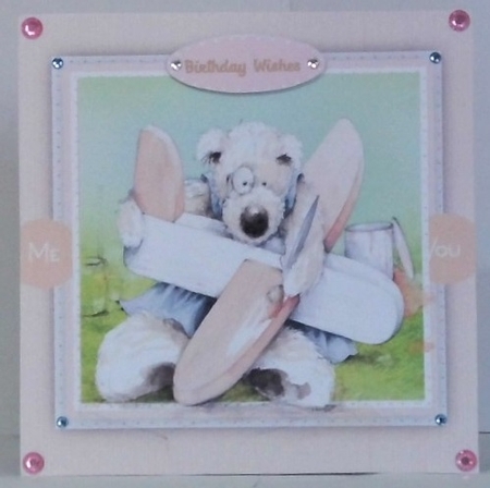 My Birthday Aeroplane  by Hazel Underwood
