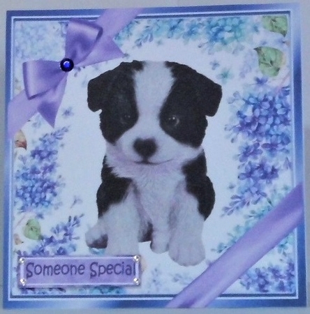 12 Gorgeous little puppies with purple bows and flowers card fronts 8x8 bumper kit by Hazel Underwood