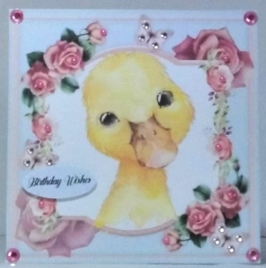 Adorable Duck  by Hazel Underwood