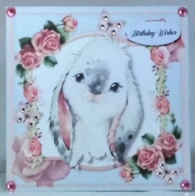 Adorable Rabbit  by Hazel Underwood