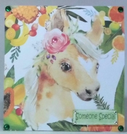 Lovely Tropical Fruit Frame with a horse 8x8 card front by Hazel Underwood