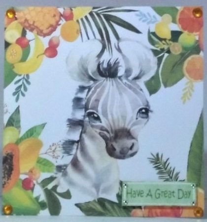  4 Lovely Tropical Animals in  Fruit Frame 8x8 card fronts mini kit (SET 2) by Hazel Underwood