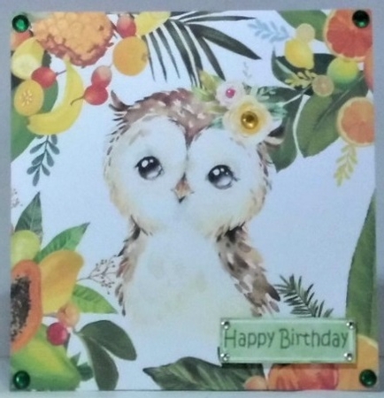  4 Lovely Tropical Animals in  Fruit Frame 8x8 card fronts mini kit (SET 2) by Hazel Underwood