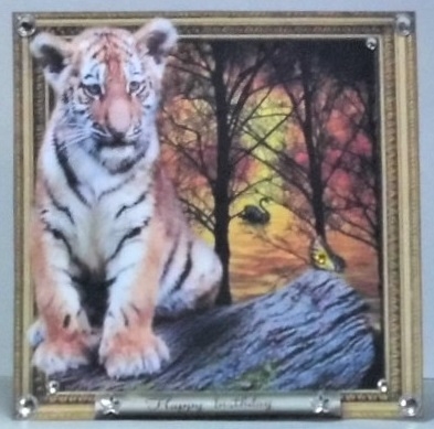 cub by Hazel Underwood