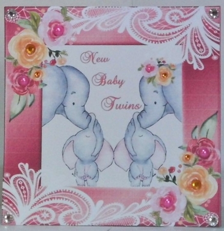 New Baby Twins by Hazel Underwood