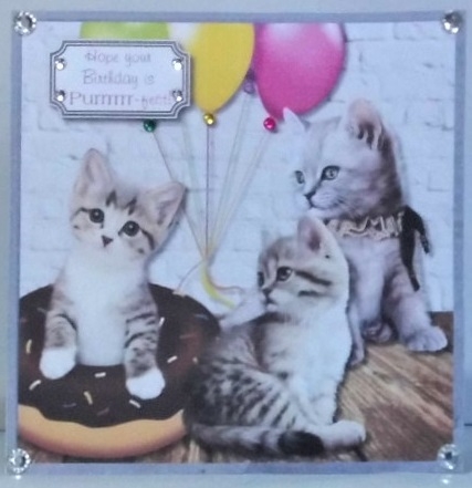 Purrrrr-fect Birthday by Hazel Underwood