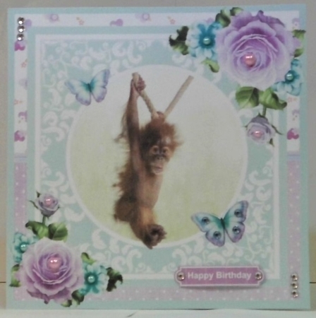 Sweet animals bumper kit - Decoupage & Inserts by Hazel Underwood