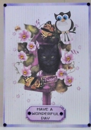 Tweety Pie 1 - A5 card front with decoupage by Hazel Underwood