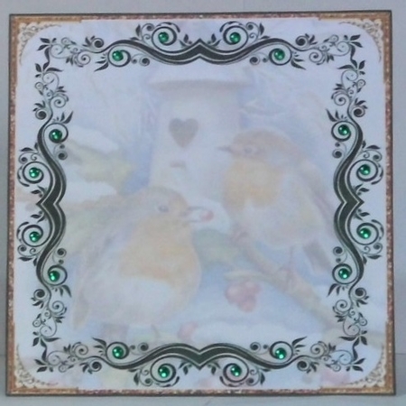 Christmas Robins Blank Insert  by Hazel Underwood