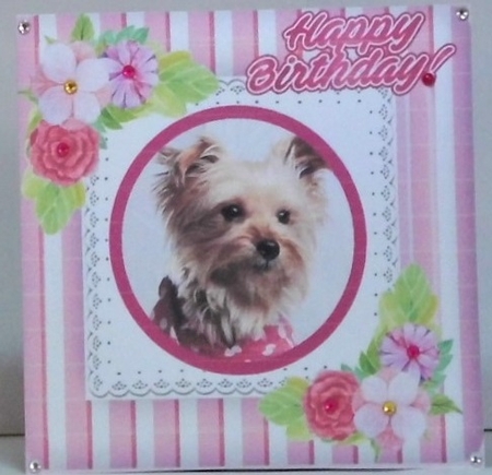 Cute yorkie puppy with corner flowers, pink striped 7x7 frame by Hazel Underwood