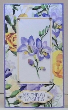 Floral Fever Gift/Voucher/Money Wallet/Pocket/Envelope Set  by Hazel Underwood