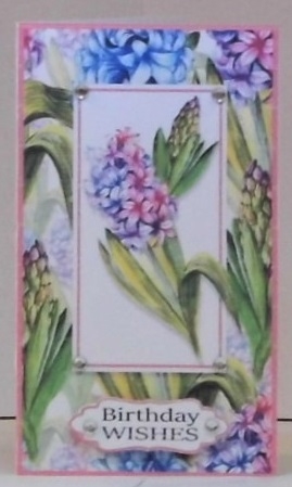 Floral Fever Gift/Voucher/Money Wallet/Pocket/Envelope Set  by Hazel Underwood
