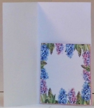 Floral Fever Gift/Voucher/Money Wallet/Pocket/Envelope Set  by Hazel Underwood