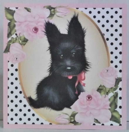 Cute black scottie dog with pink corner roses & polkadot 8x8 by Hazel Underwood