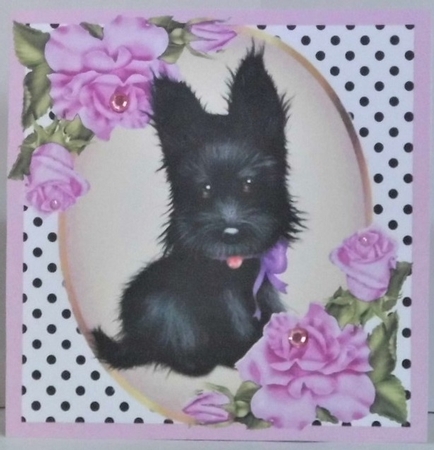 Cute black scottie dog with lilac corner roses & polkadot 8x8 by Hazel Underwood