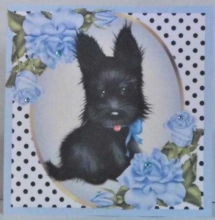 Cute black scottie dog with blue corner roses & polkadot 8x8 by Hazel Underwood