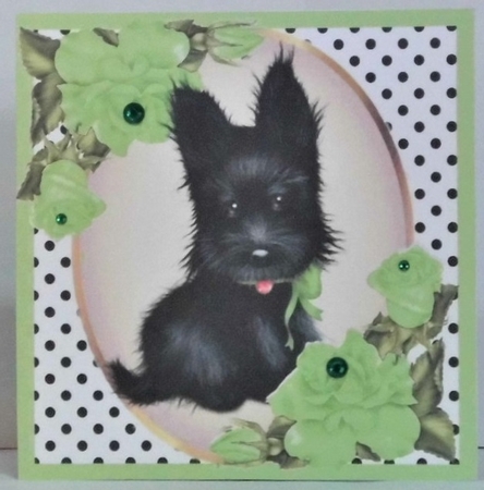 Cute black scottie dog with green corner roses & polkadot 8x8 by Hazel Underwood