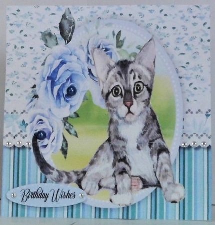 Beautiful Tiger Kitty by Hazel Underwood