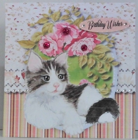 Gorgeous Black and White Kitty by Hazel Underwood