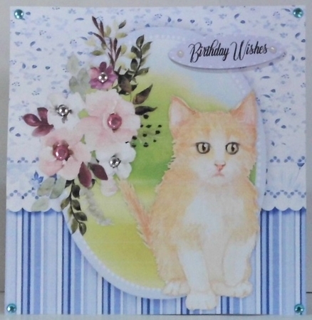Gorgeous Water Coloured Kitty  by Hazel Underwood