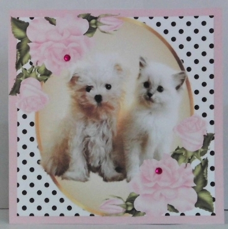 Cute kitten/puppy with pink corner roses and polkadot 8x8 by Hazel Underwood