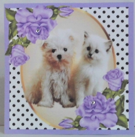 Cute kitten/puppy with purple corner roses and polkadot 8x8 by Hazel Underwood