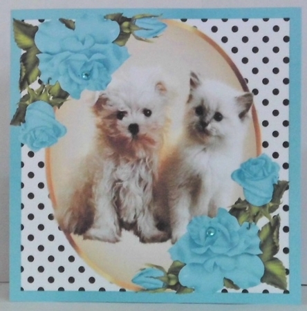 Cute kitten/puppy with turq corner roses and polkadot 8x8 by Hazel Underwood