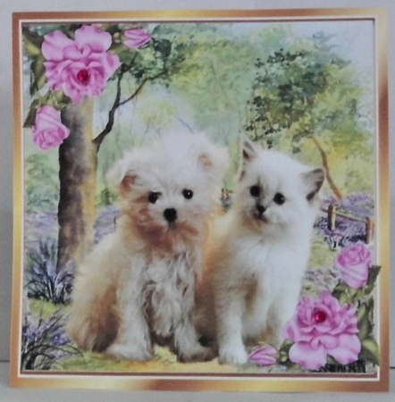 Cute kitten/puppy in the woodlands with pink corner roses 8x8 by Hazel Underwood