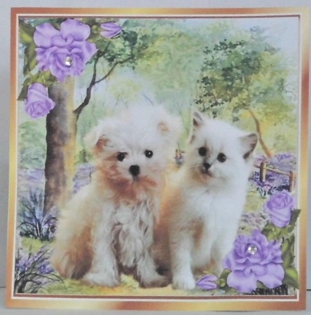 Cute kitten/puppy in the woodlands with purple corner roses 8x8 by Hazel Underwood