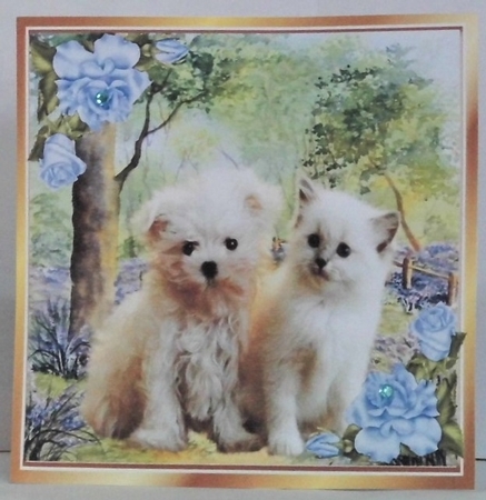 Cute kitten/puppy in the woodlands with blue corner roses 8x8 by Hazel Underwood