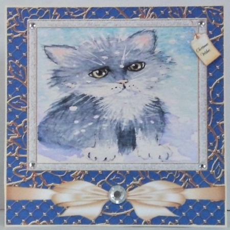 FROSTY WHISKERS MULTI SENTIMENTS 1 by Hazel Underwood