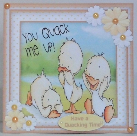 8x8 Mini Kit , You Quack Me Up  by Hazel Underwood