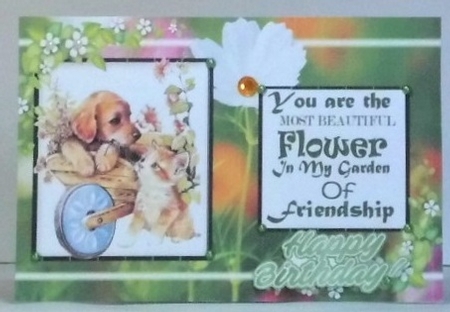 Flower of friendship in pretty floral A5 Frame with puppy/kitten by Hazel Underwood